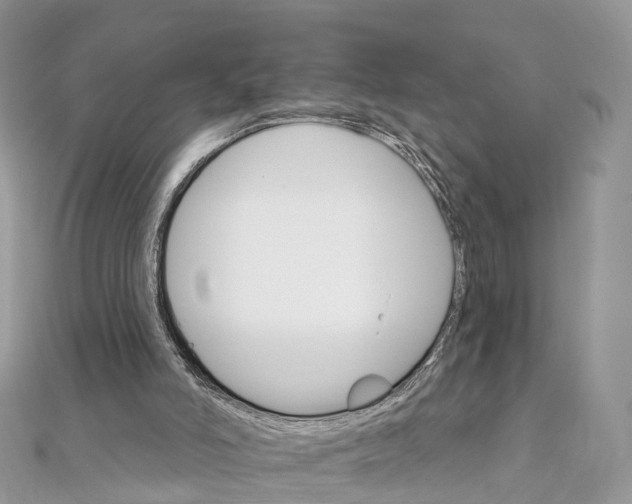 X0000111510006200908111319