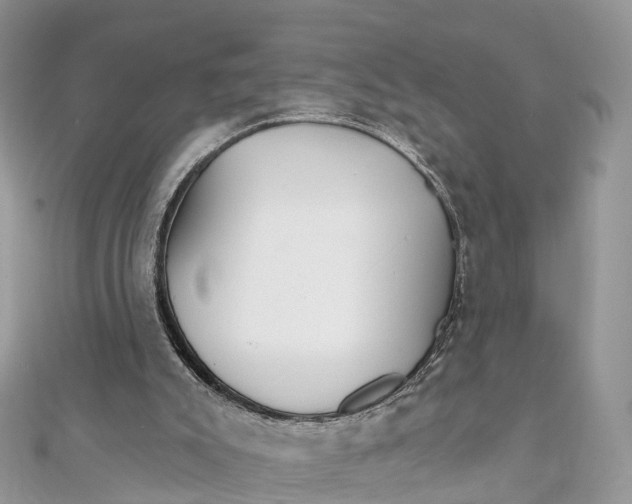 X0000111510007200908111319