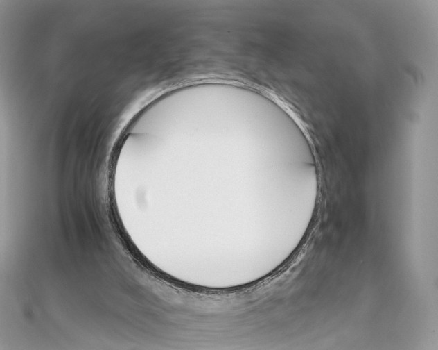 X0000111510008200908111319