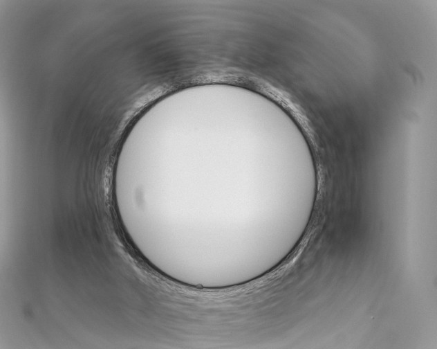 X0000111510010200908111319