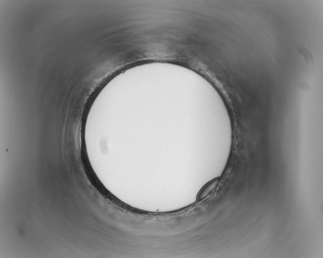 X0000111510011200908111319