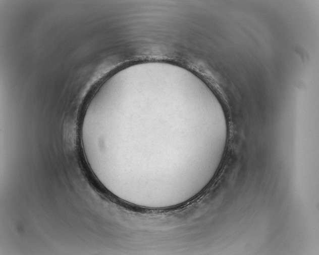 X0000111510012200908111319