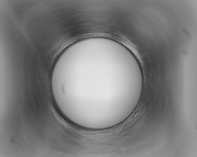 X0000111510013200908111319