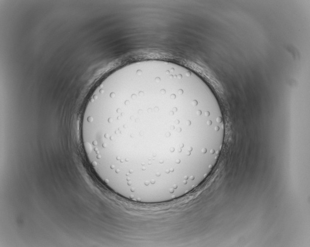 X0000111510014200908111319