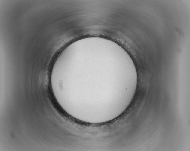 X0000111510016200908111319