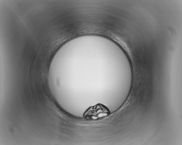 X0000111510017200908111319