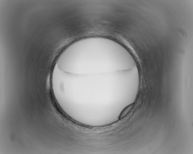 X0000111510019200908111319