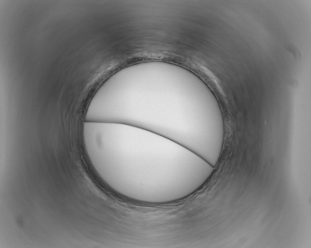 X0000111510020200908111319
