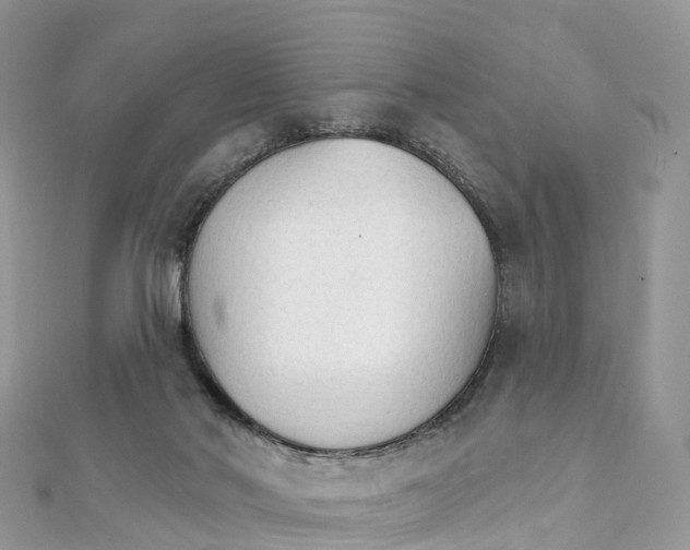 X0000111510022200908111319