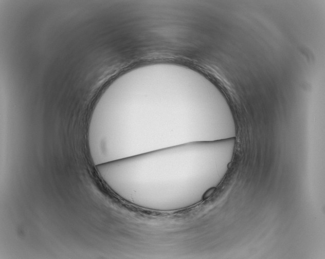 X0000111510024200908111319