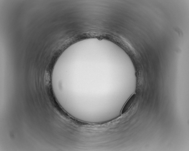 X0000111510025200908111319