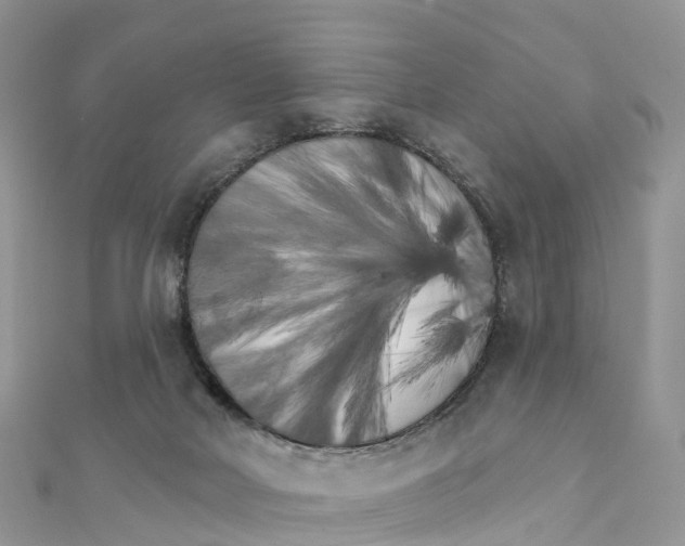 X0000111510026200908111319