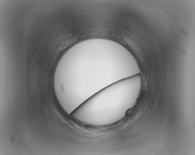 X0000111510028200908111319
