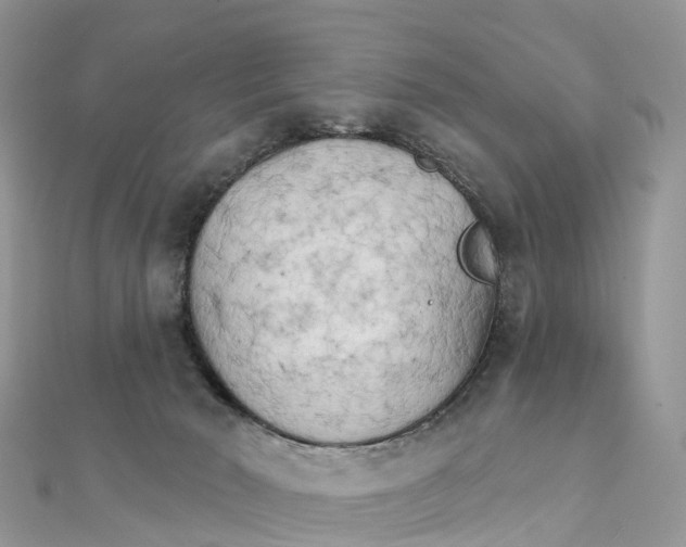 X0000111510030200908111319