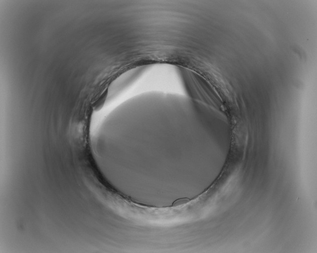 X0000111510031200908111319