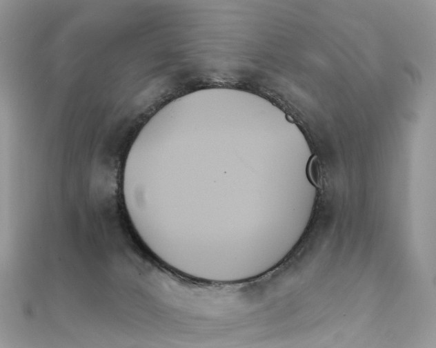 X0000111510032200908111319