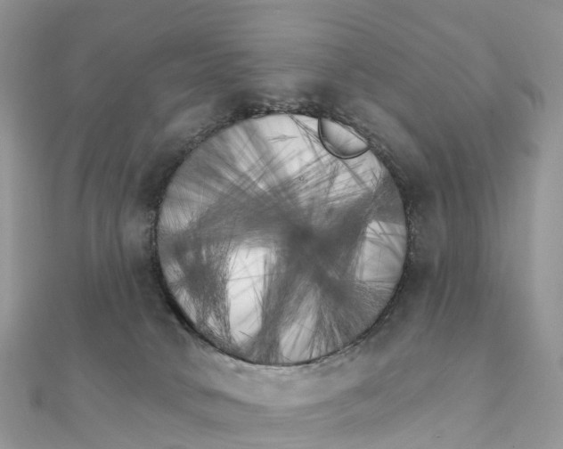 X0000111510034200908111319
