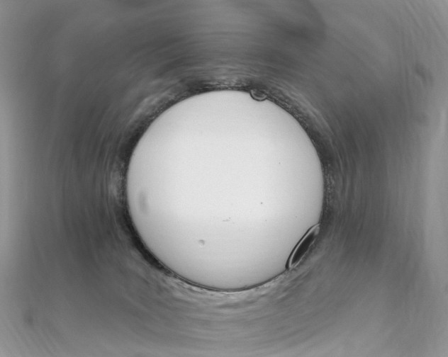 X0000111510035200908111319