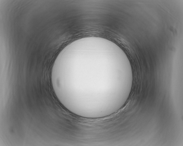 X0000111510037200908111319