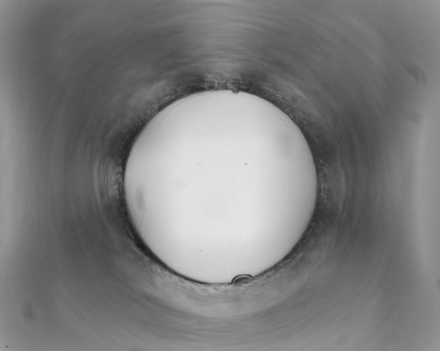 X0000111510038200908111319