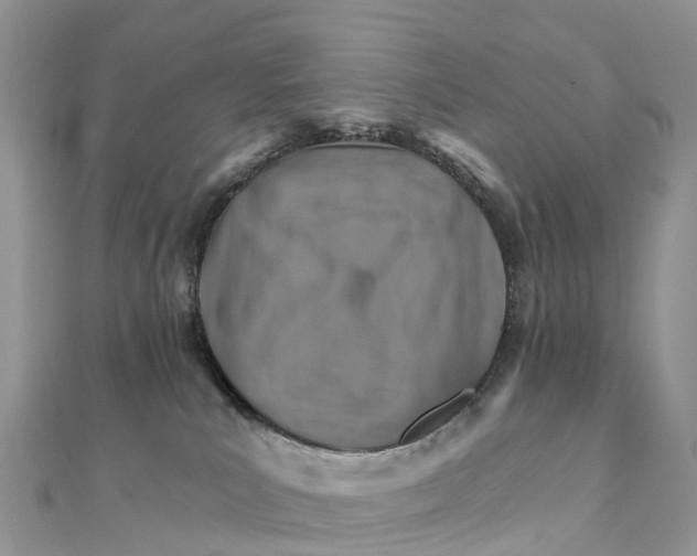 X0000111510039200908111319