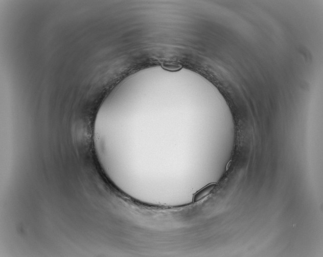 X0000111510040200908111319