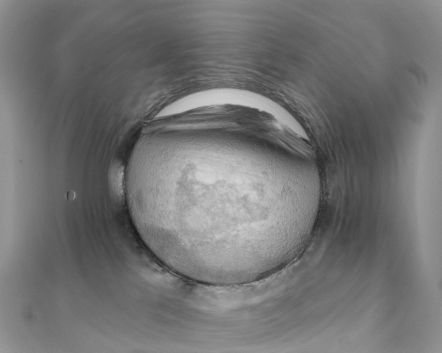X0000111510041200908111319