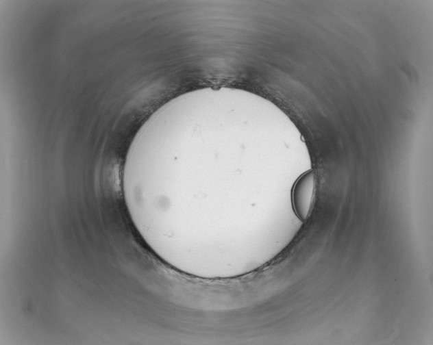 X0000111510042200908111319