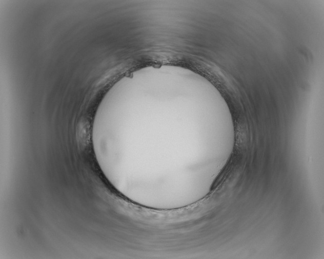 X0000111510043200908111319