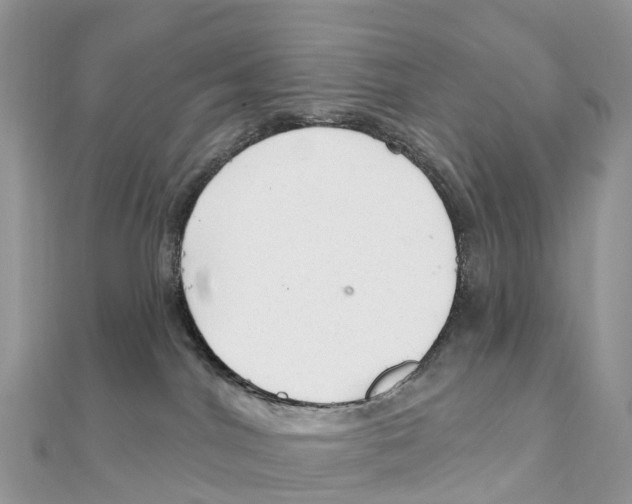 X0000111510044200908111319