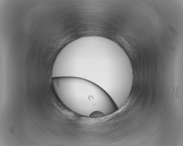 X0000111510045200908111319