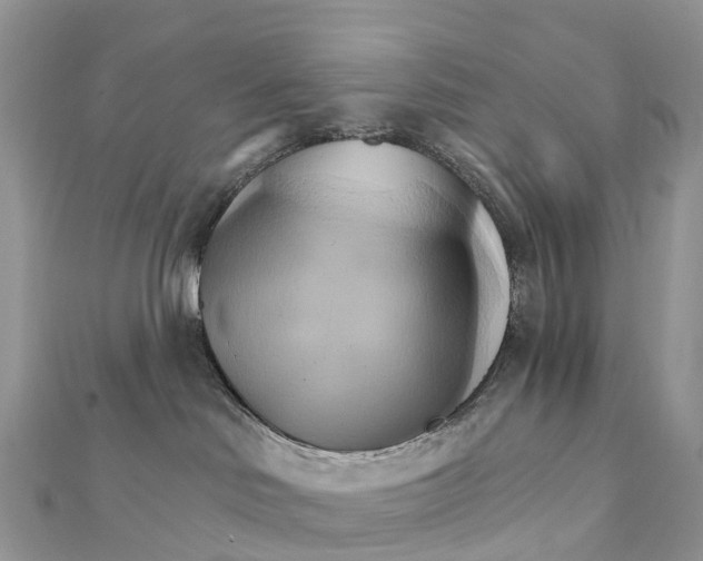 X0000111510046200908111319