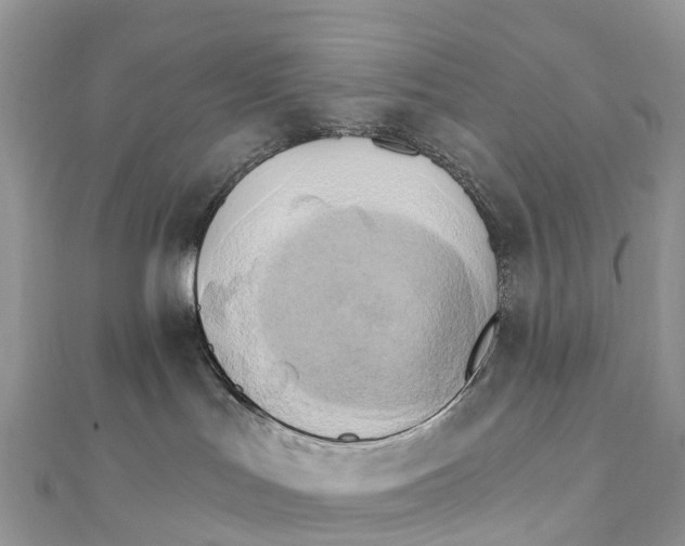 X0000111510047200908111318
