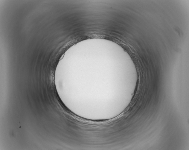 X0000111510048200908111318
