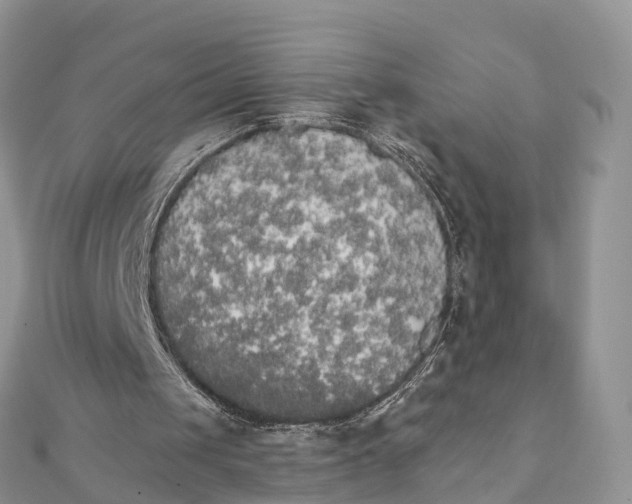 X0000111510049200908111318