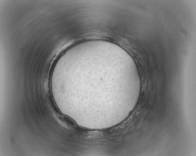 X0000111510050200908111318