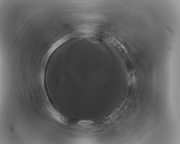 X0000111510051200908111318