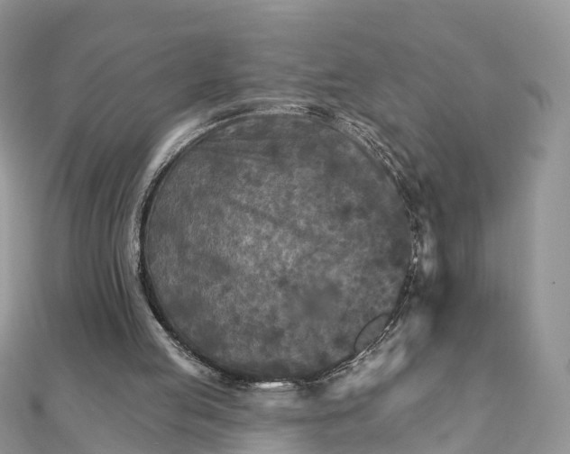 X0000111510053200908111318