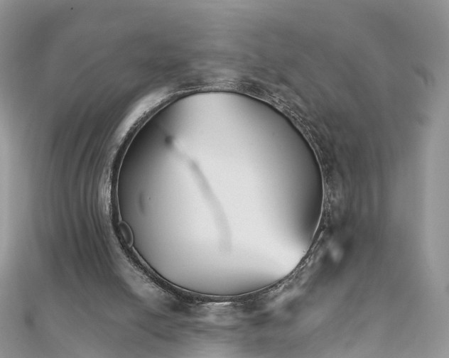 X0000111510054200908111318