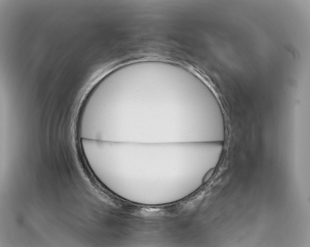 X0000111510055200908111318