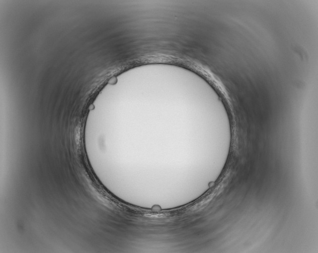 X0000111510057200908111318