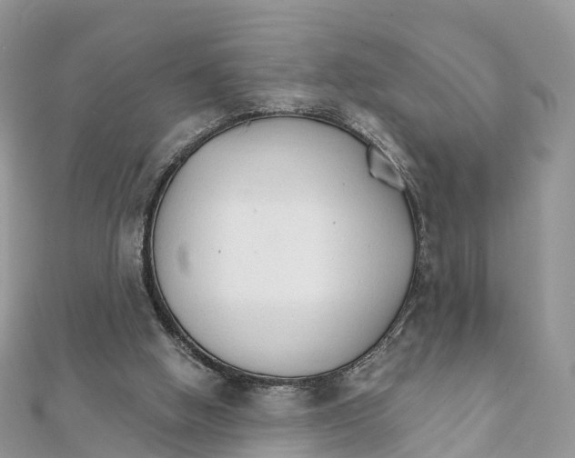 X0000111510058200908111318