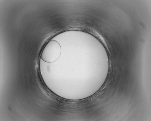 X0000111510059200908111318