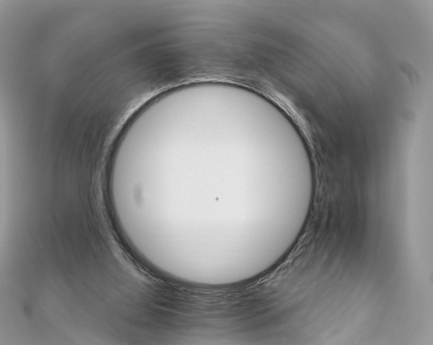 X0000111510060200908111318