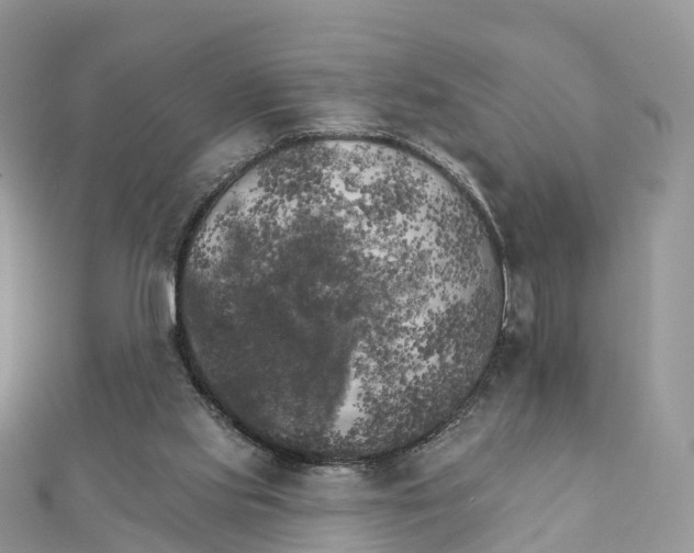 X0000111510061200908111318