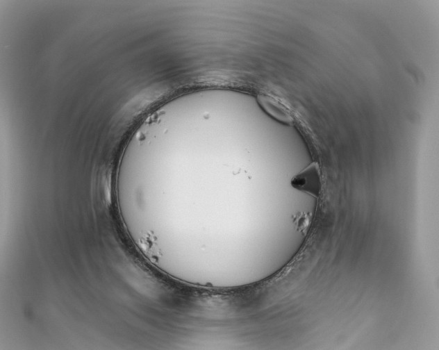 X0000111510062200908111318