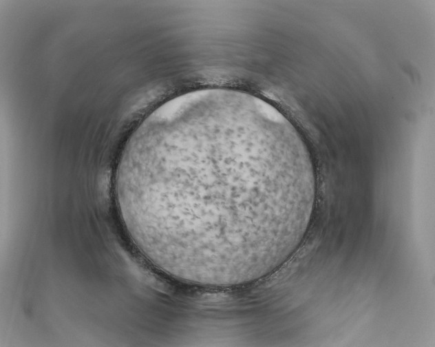 X0000111510066200908111318