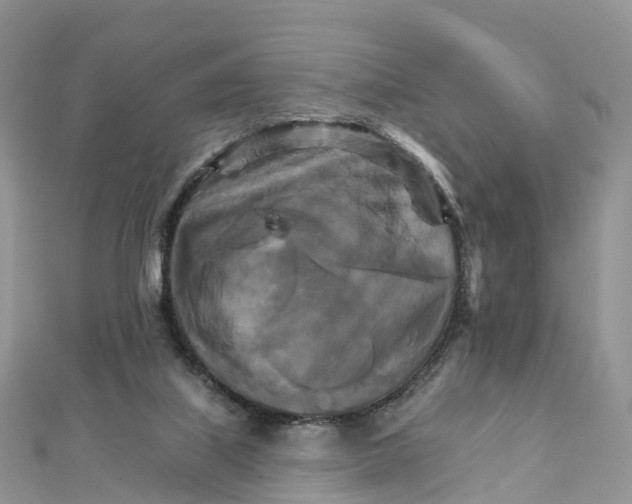 X0000111510067200908111318