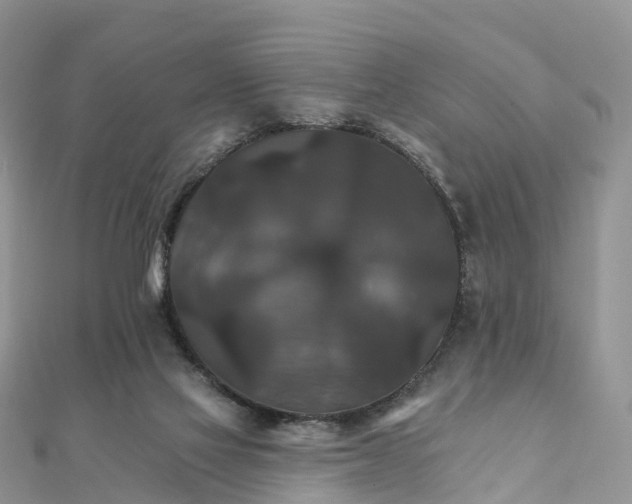 X0000111510069200908111318