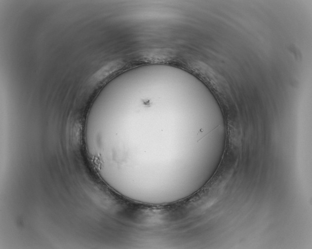 X0000111510071200908111318
